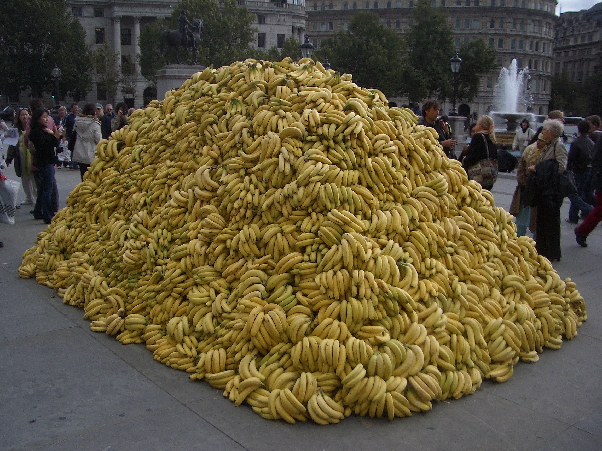 A giant pile of bananas A giant pile of bananas